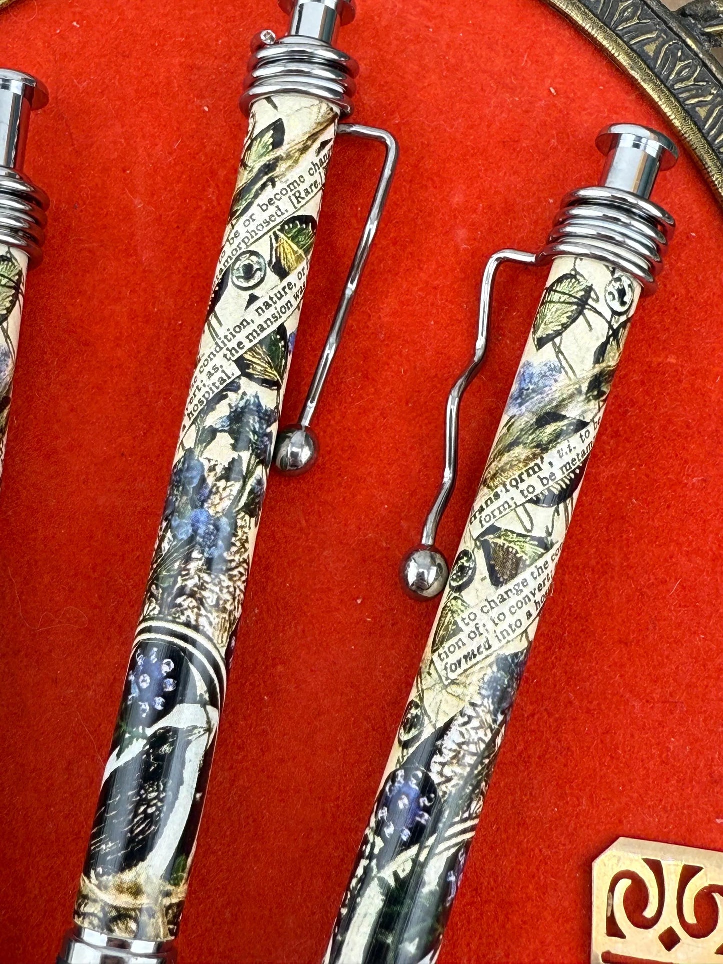 Crow Brain Transformation Collage Art Pen